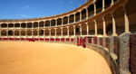 Spanish courses in Pamplona