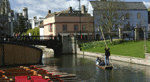 English courses in Cambridge