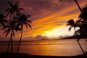english-classes-in-hawaii
